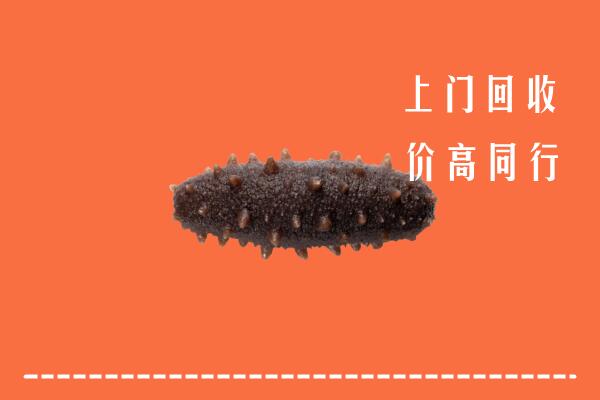 高价求购：大化县回收海参
